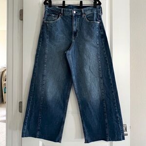 Gap High Waist Wide Leg Side Panel Cropped Jeans